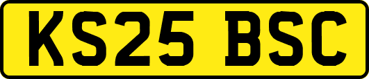 KS25BSC