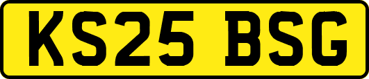 KS25BSG