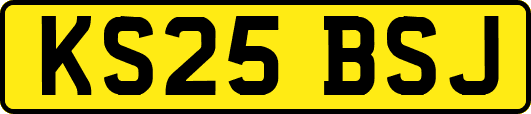 KS25BSJ