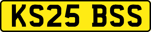 KS25BSS