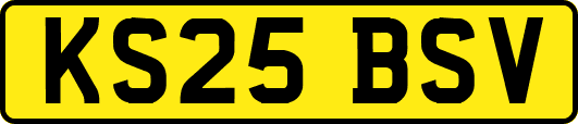 KS25BSV