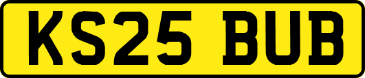 KS25BUB