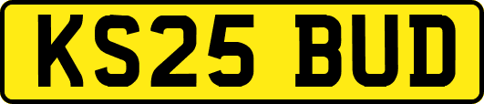 KS25BUD