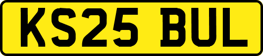 KS25BUL