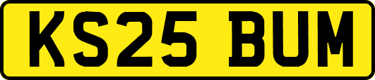 KS25BUM