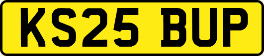 KS25BUP