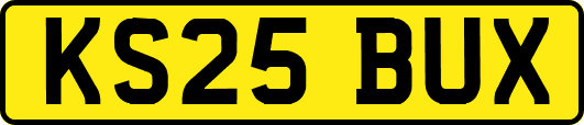 KS25BUX