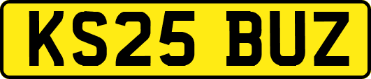KS25BUZ