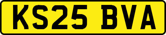 KS25BVA