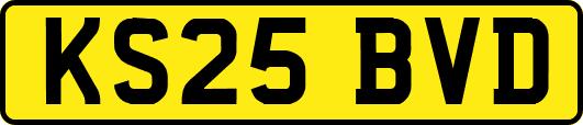 KS25BVD