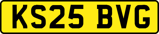 KS25BVG