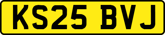 KS25BVJ