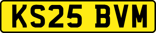 KS25BVM