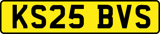 KS25BVS
