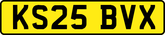 KS25BVX