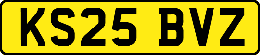 KS25BVZ
