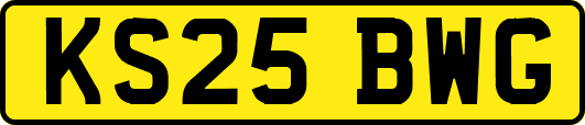 KS25BWG