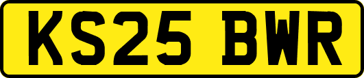 KS25BWR