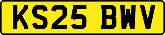 KS25BWV