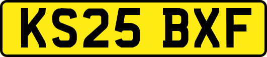 KS25BXF
