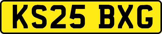 KS25BXG