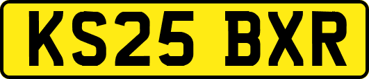 KS25BXR