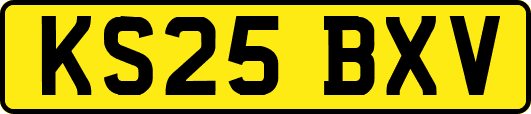 KS25BXV