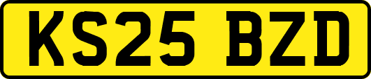 KS25BZD