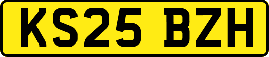 KS25BZH