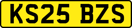 KS25BZS