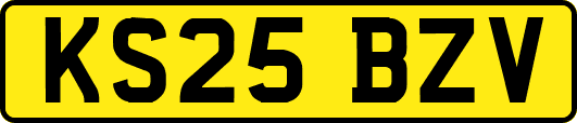 KS25BZV