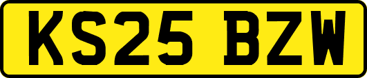 KS25BZW