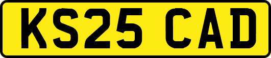 KS25CAD