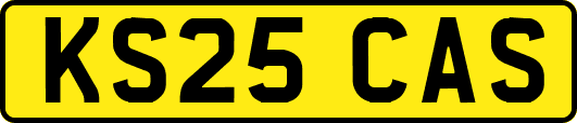 KS25CAS