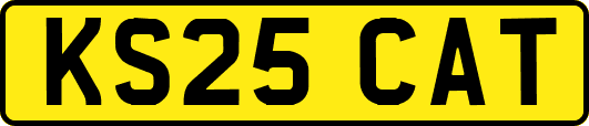 KS25CAT