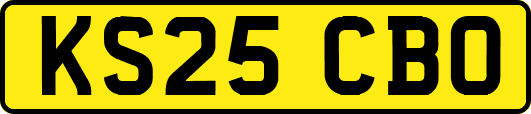 KS25CBO