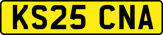 KS25CNA