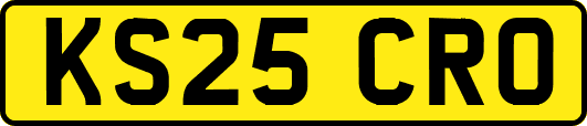 KS25CRO