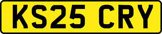 KS25CRY