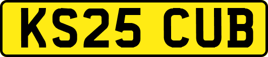 KS25CUB