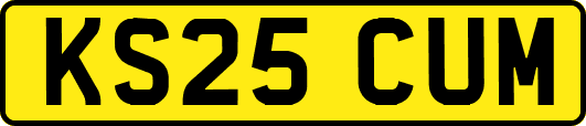 KS25CUM