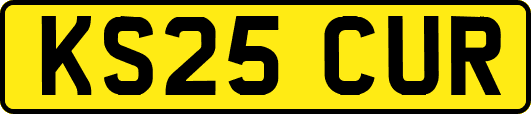 KS25CUR