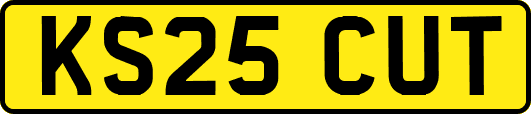 KS25CUT