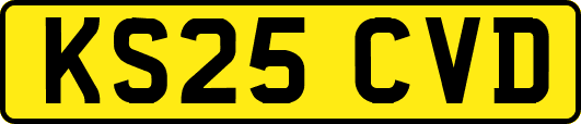 KS25CVD