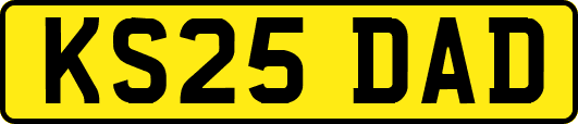 KS25DAD