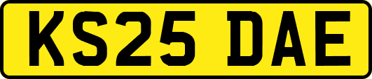 KS25DAE