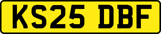 KS25DBF