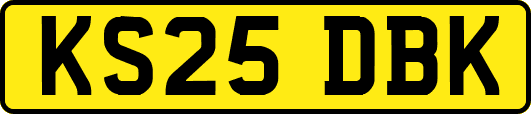 KS25DBK