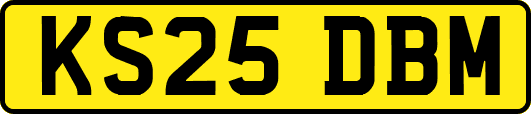 KS25DBM
