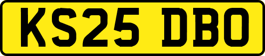 KS25DBO